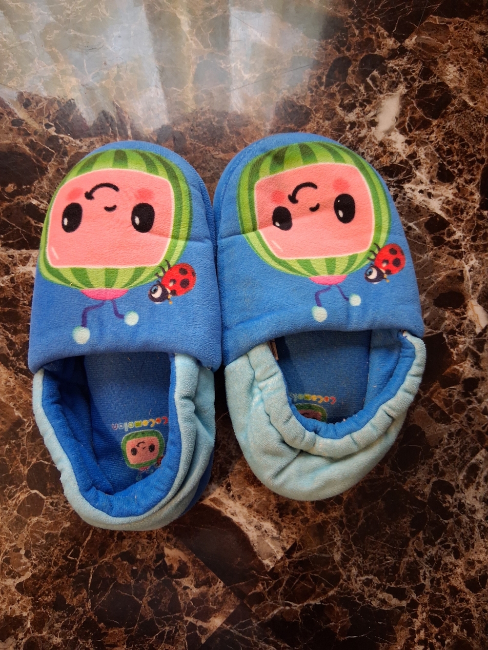 Kids Blue Cartoon Watermelon House Shoes